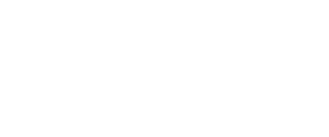 pro-inspector-logo-white